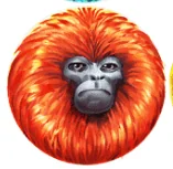 Paytable 7 monkeys 2