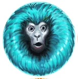 Paytable 7 monkeys 3