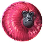 Paytable 7 monkeys 5