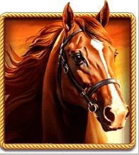 Bonus badge blitz 4