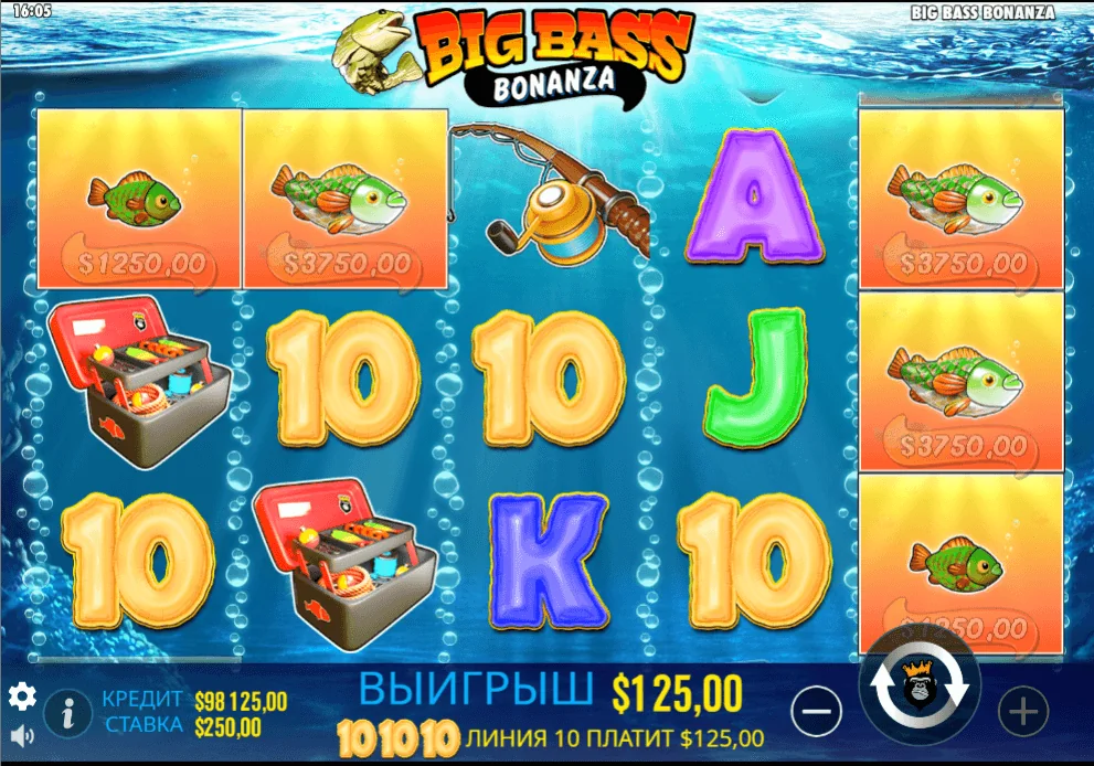Gameplay big bass bonanza 3