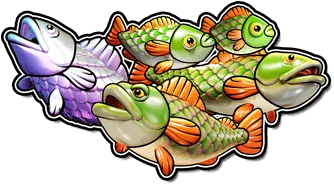 Bonus big bass bonanza 1000