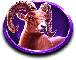 Paytable black bull 9