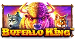 Logo Buffalo King