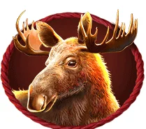 Paytable buffalo king 7