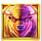 Paytable buffalo king megaways