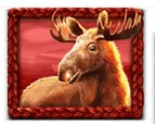 Paytable buffalo king untamed megaways 7