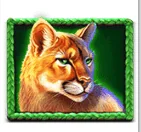 Paytable buffalo king untamed megaways 9
