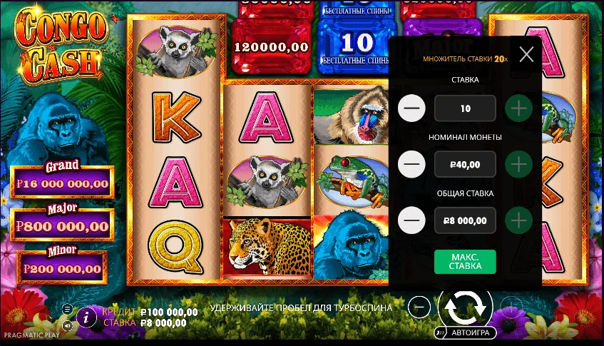 Gameplay congo cash 3