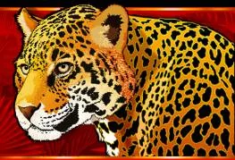 Paytable congo cash 9