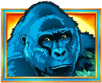 Paytable congo cash xl