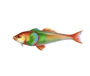 Paytable fishing club 2