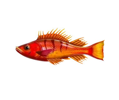 Paytable fishing club 3