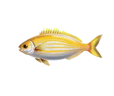 Paytable fishing club 4