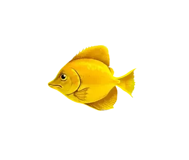 Paytable fishing club 6