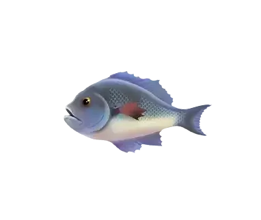 Paytable fishing club 7