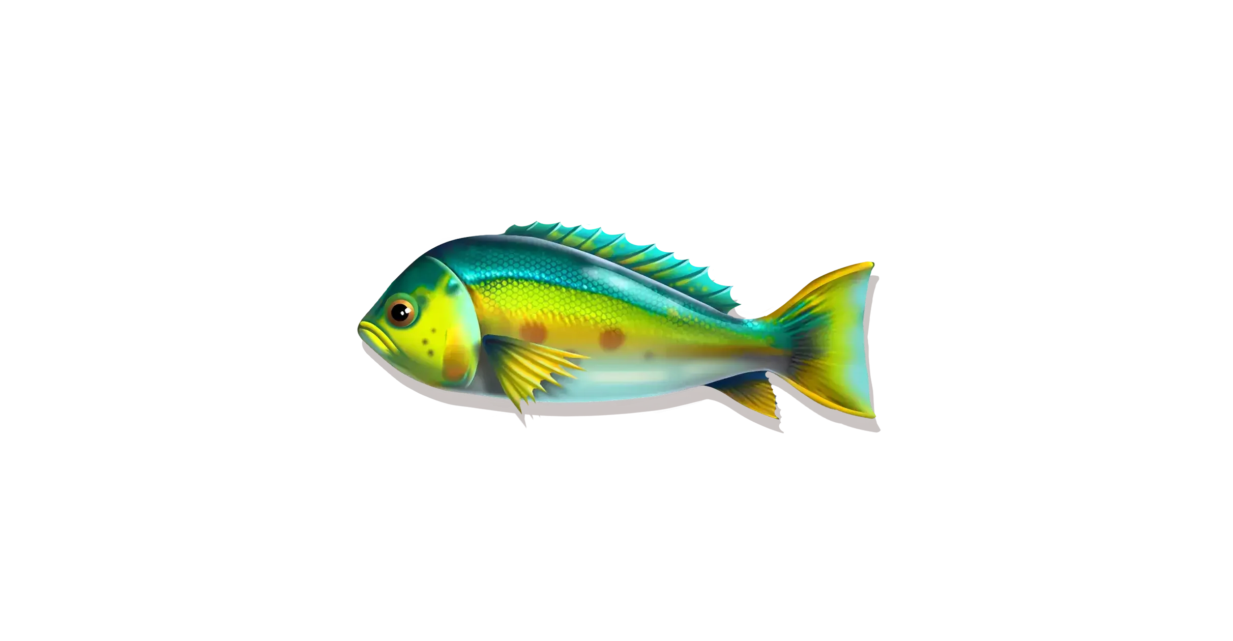 Paytable fishing club 9