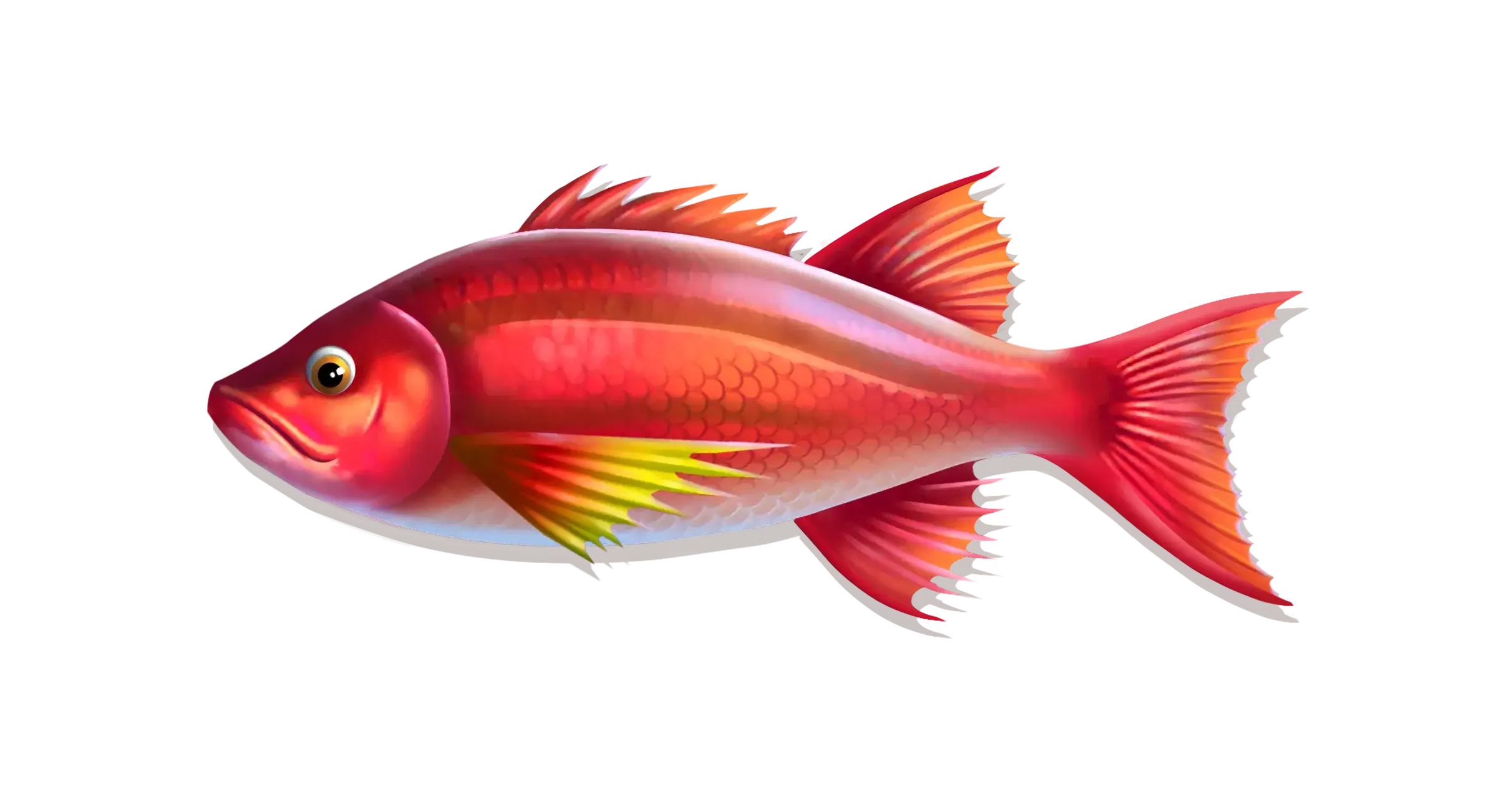 Paytable fishing club