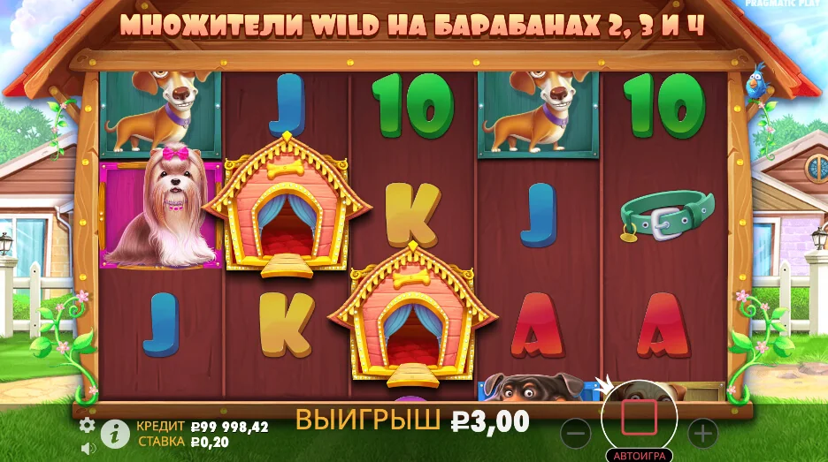 Gameplay the dog house 2