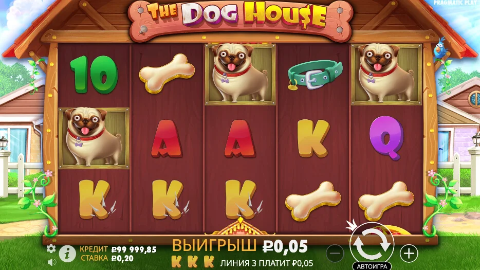 Gameplay the dog house 3