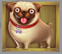 Paytable the dog house 3