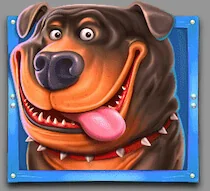 Paytable the dog house 4