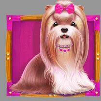 Paytable the dog house 5