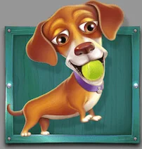 Paytable the dog house 6