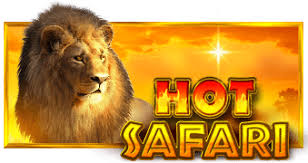 Логотип Hot Safari