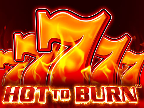 Логотип Hot To Burn