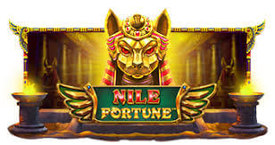 Логотип Nile Fortune
