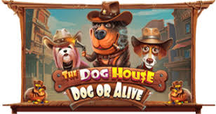 Логотип The Dog House Dog Or Alive
